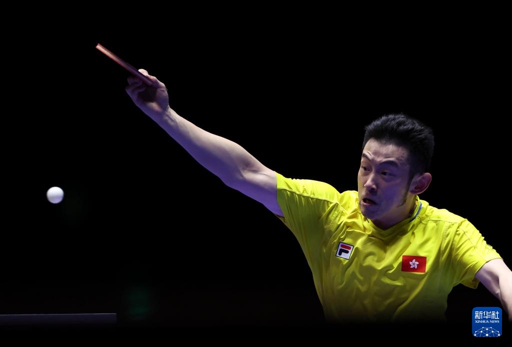 这一举动 这一举动