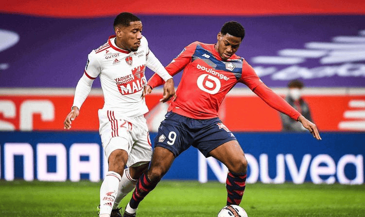 彰显文化自 彰显文化自