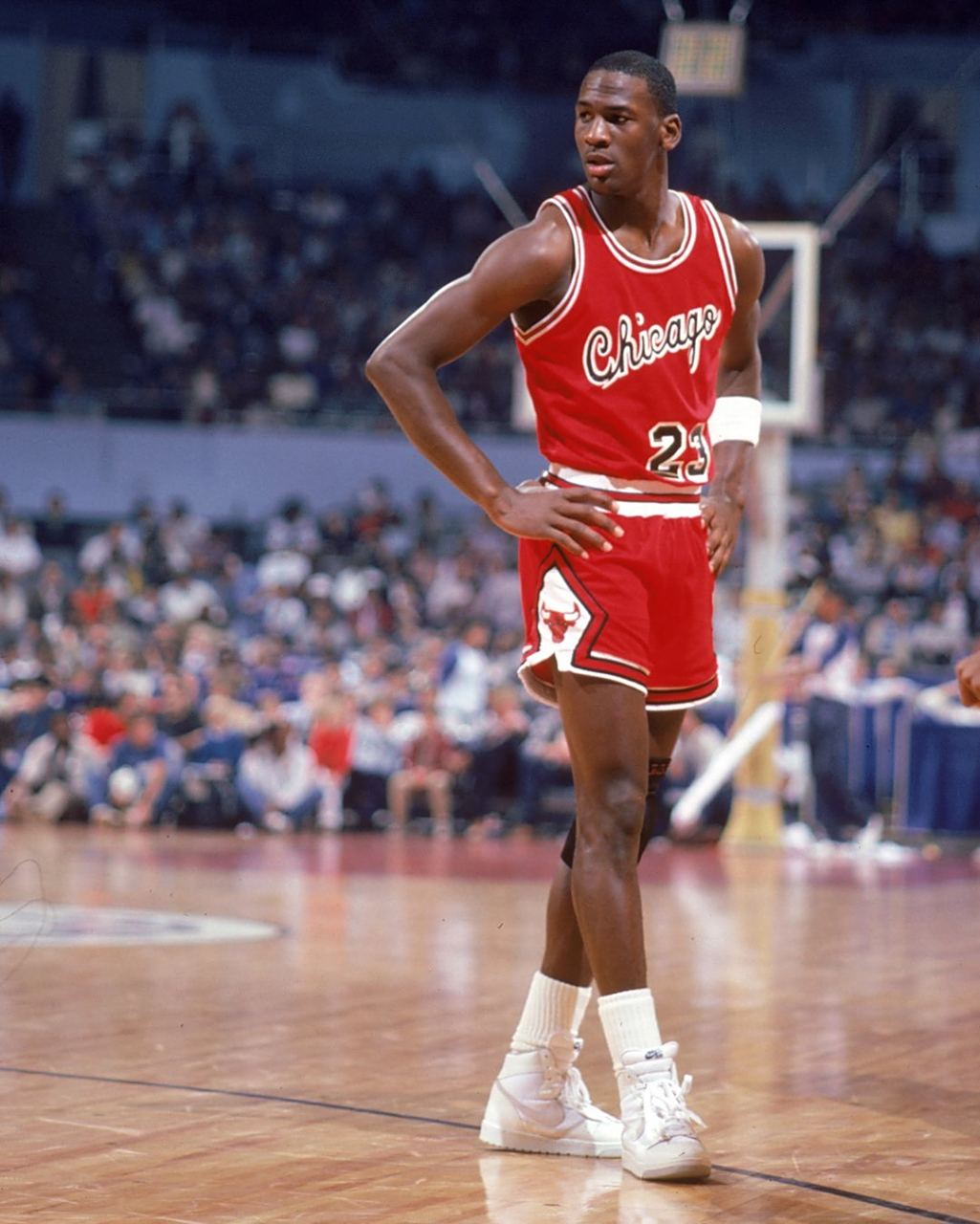 官方发布年 官方发布年